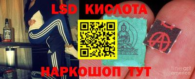 mdpv Краснодар